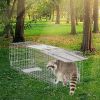 Portable Folding Live Animal Cage Trap with Handle